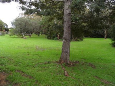 25 The Glen Road, Bardwell Valley