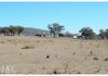 136 McLachlan Road, Manildra