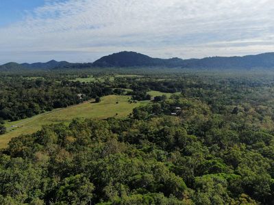 Lot 36, 435 Shiptons Flat Road, Rossville