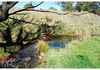 577 Browns Creek Road, Browns Creek