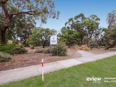 40 Coolibar Avenue, Seaford