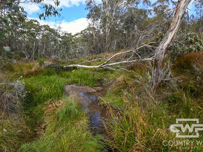 28 Sara River Road, Mount Mitchell