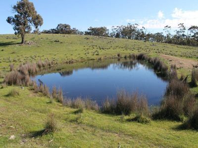 345 Hardings Lane, Tooborac