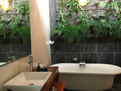 13 / 78 Cecil Street, Nimbin