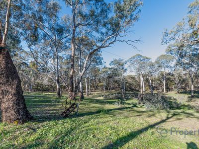 145 Kestel Road, Humbug Scrub