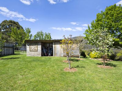 53 Alpine Ridge Drive, Merrijig