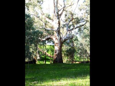 Lot 184 Belmore Street, Howlong