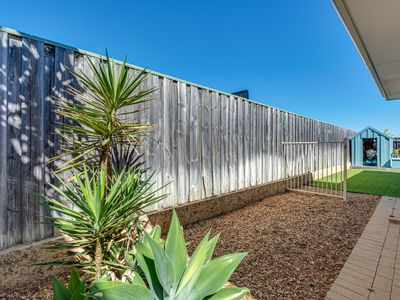 6 Eddy Link, Yanchep