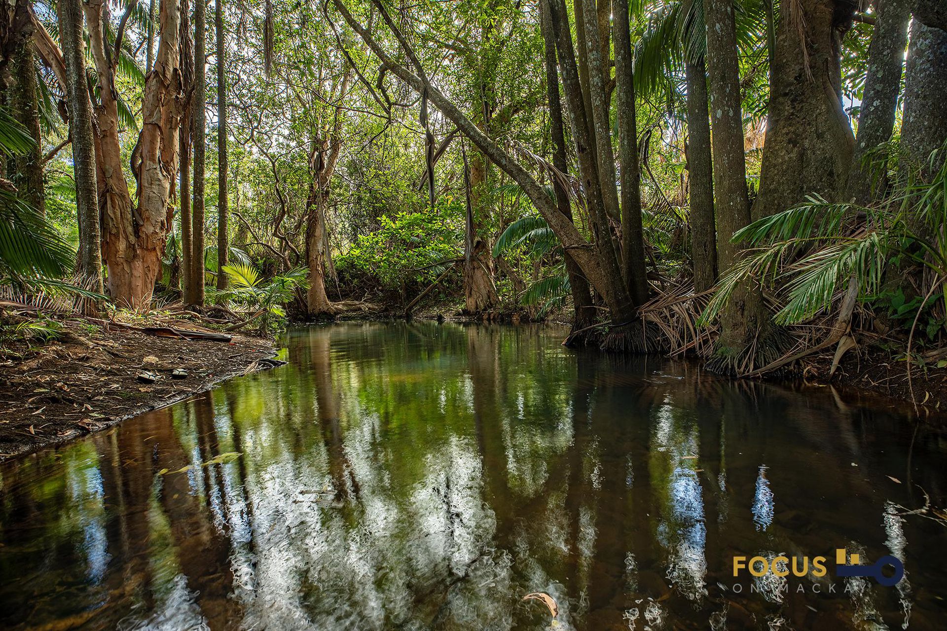95 Ching Creek Rd, Sarina