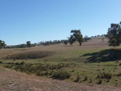 Boxwood Park Road, Bungowannah
