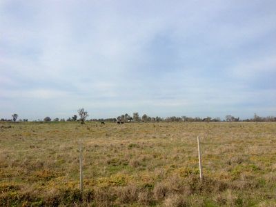 Lot 1 Windy Corner Riverina Highway, Deniliquin