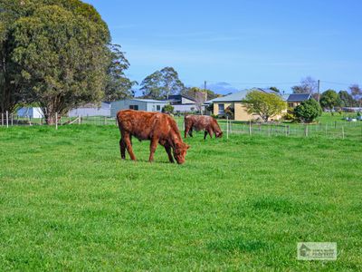 102 Oldina Road, Wynyard