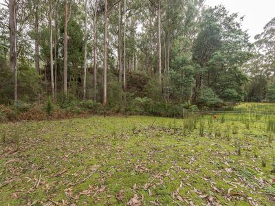 58 Pottery Road , Garden Island Creek