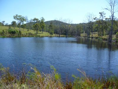 Belli Park