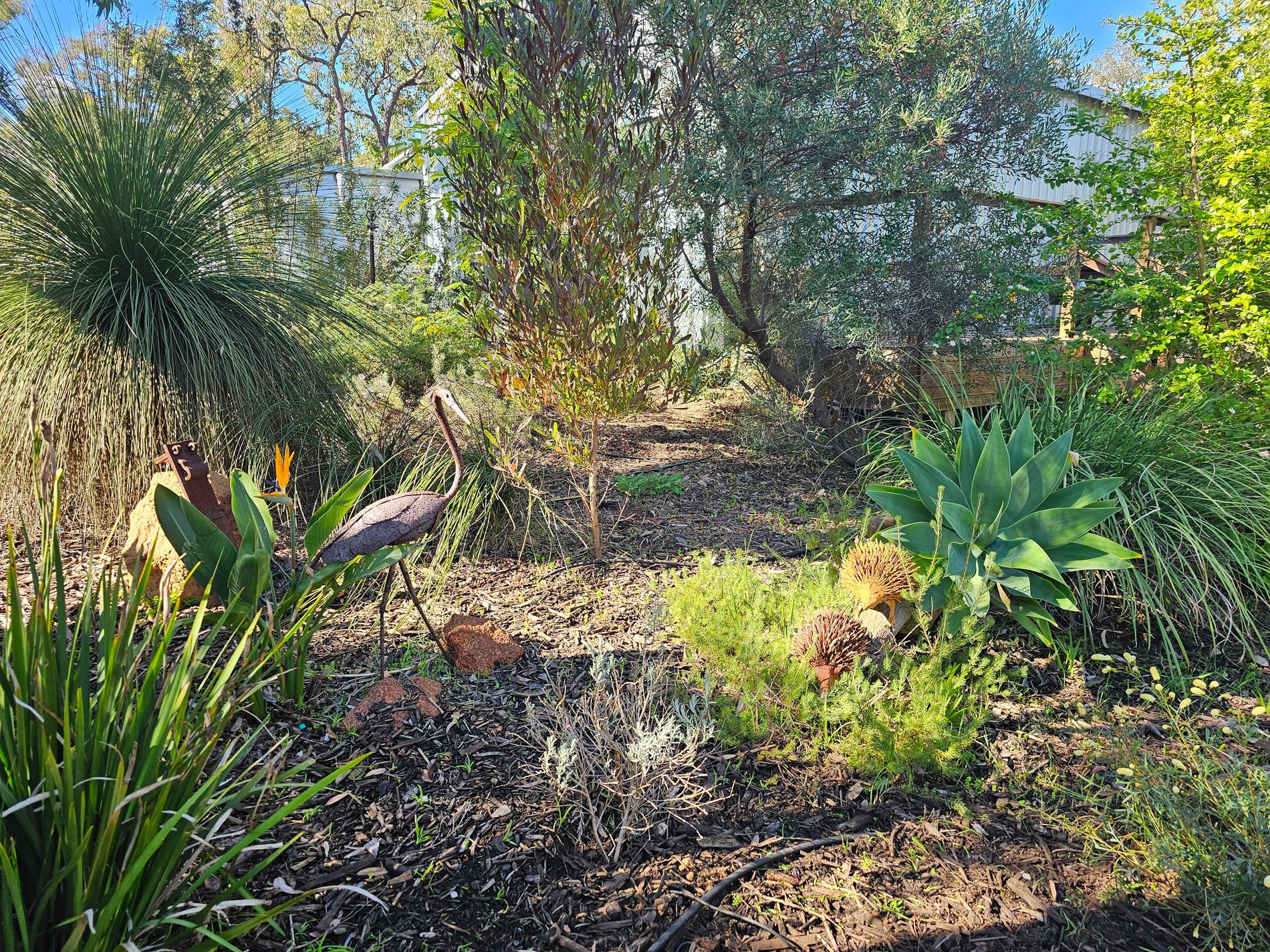 55 Blackboy Way, Morangup