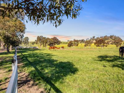 552 Upton Rd, Avenel