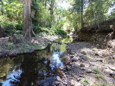 Lot 5, 115 Gonpa Road, Kyogle