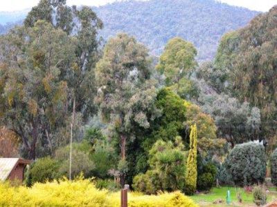 158 Simmonds Creek Road , Tawonga South