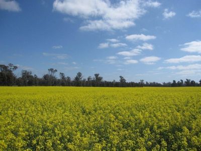 Tocumwal