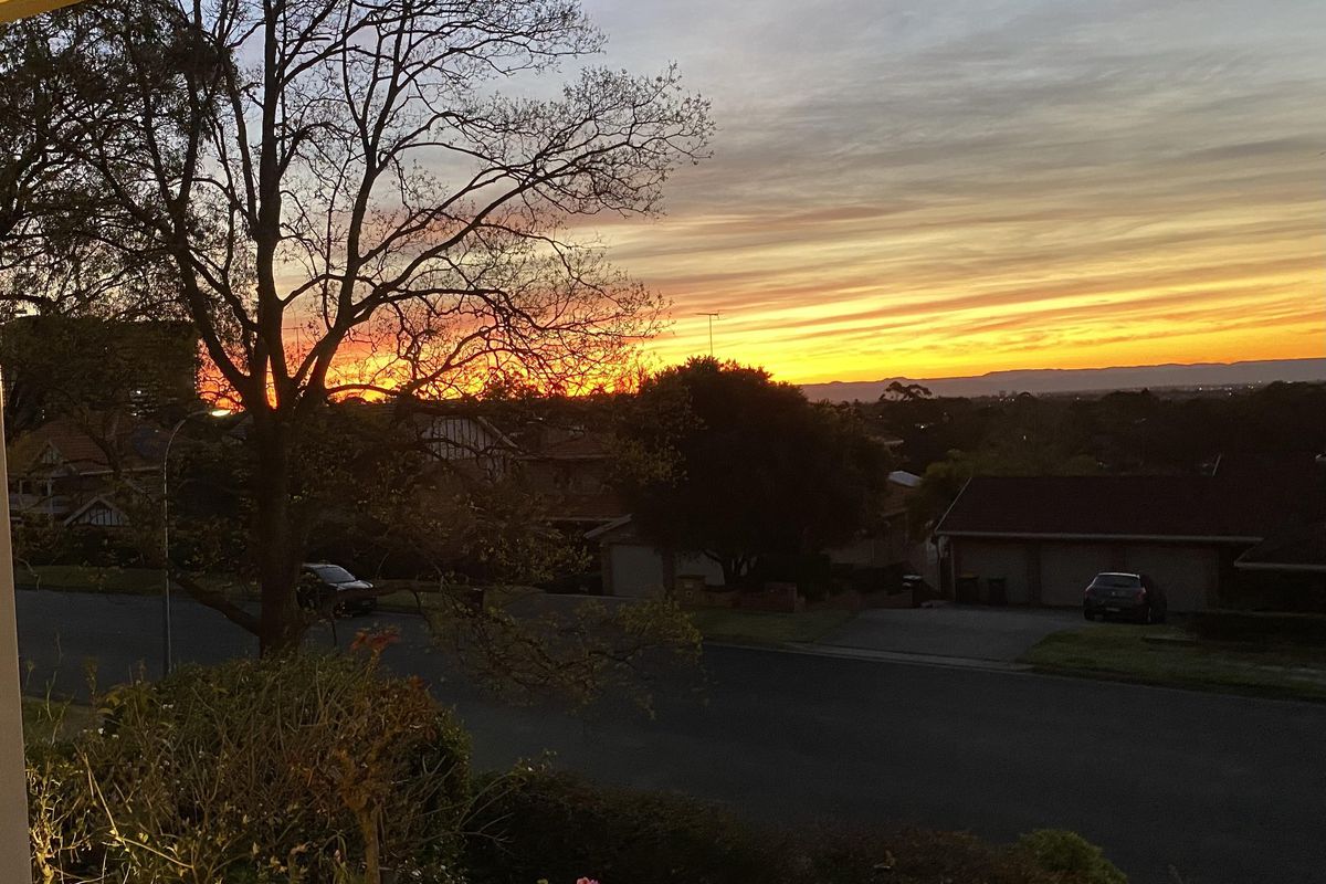 63 First Farm Drive, Castle Hill