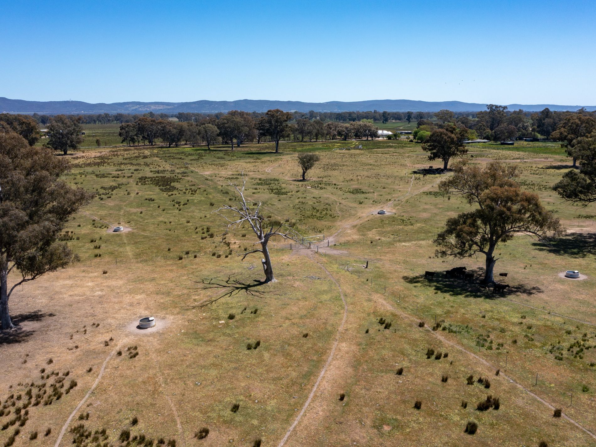 377 Laceby-Targoora Road, Laceby