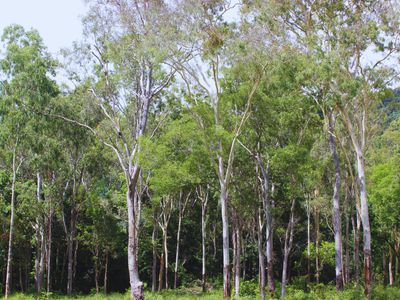 Emperor Estate 62 Emperor Estate 62 Jubilee Pocket Road, Jubilee Pocket