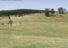 189 Berrilee Road, Orange