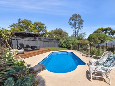 21 Australis Close, Langwarrin