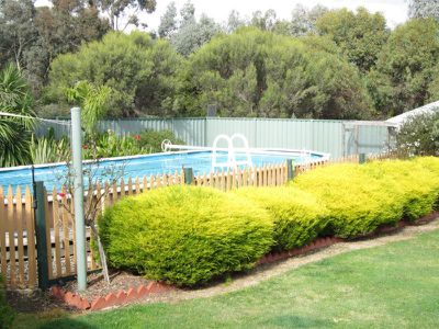 40 Watson Drive, Strathfieldsaye