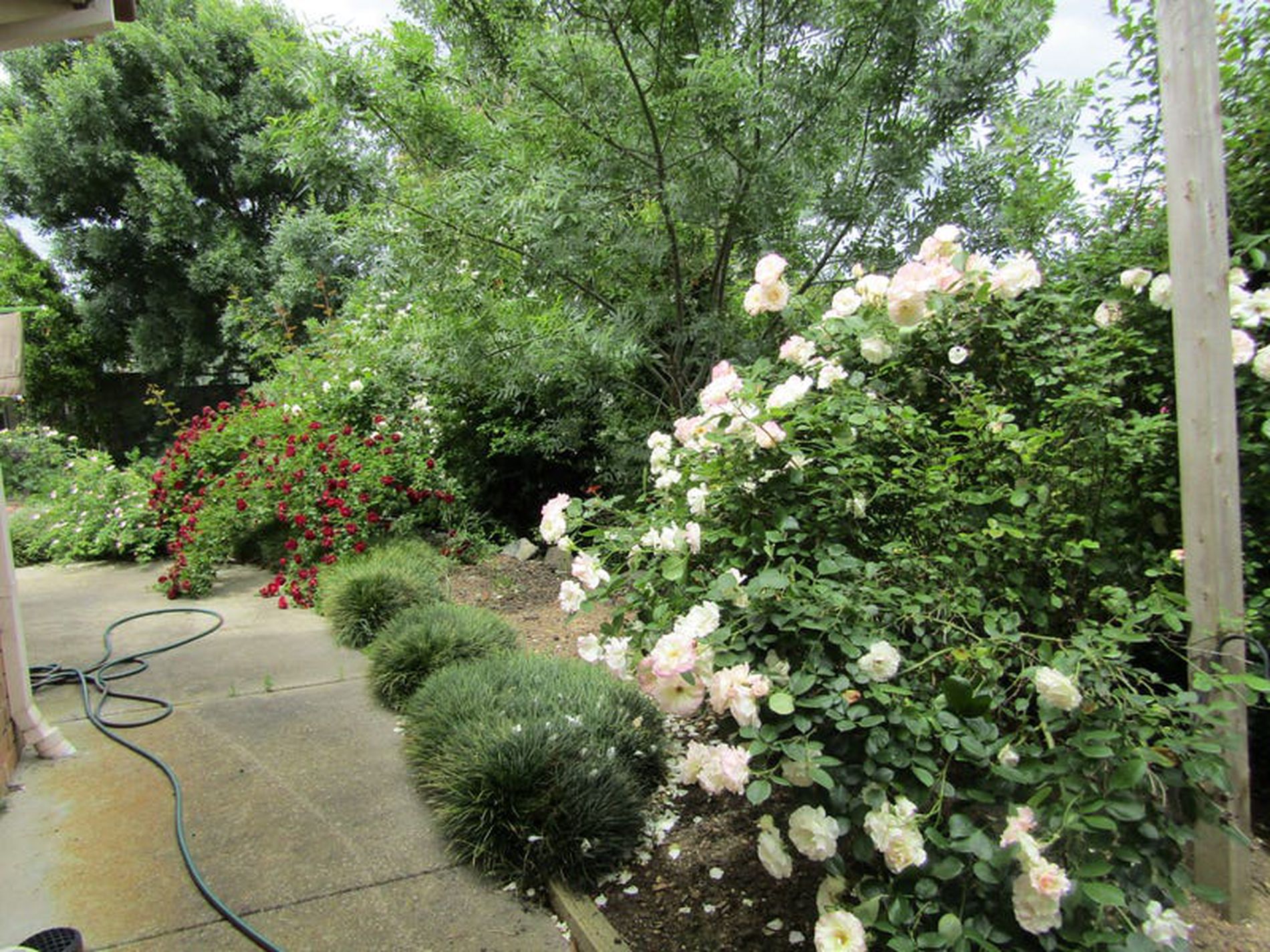 18 Hanley Cres, Seymour