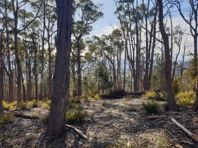 Lot 1, Channel Highway, Huonville