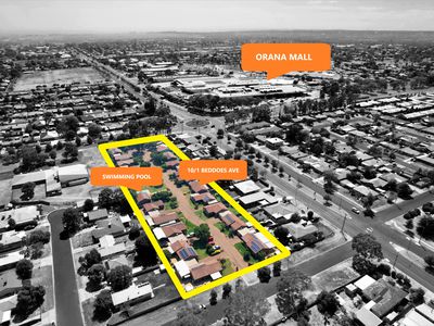 10 / 1 Beddoes Avenue, Dubbo