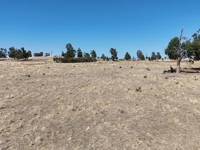 40 Cooks Hill Lane, Alectown