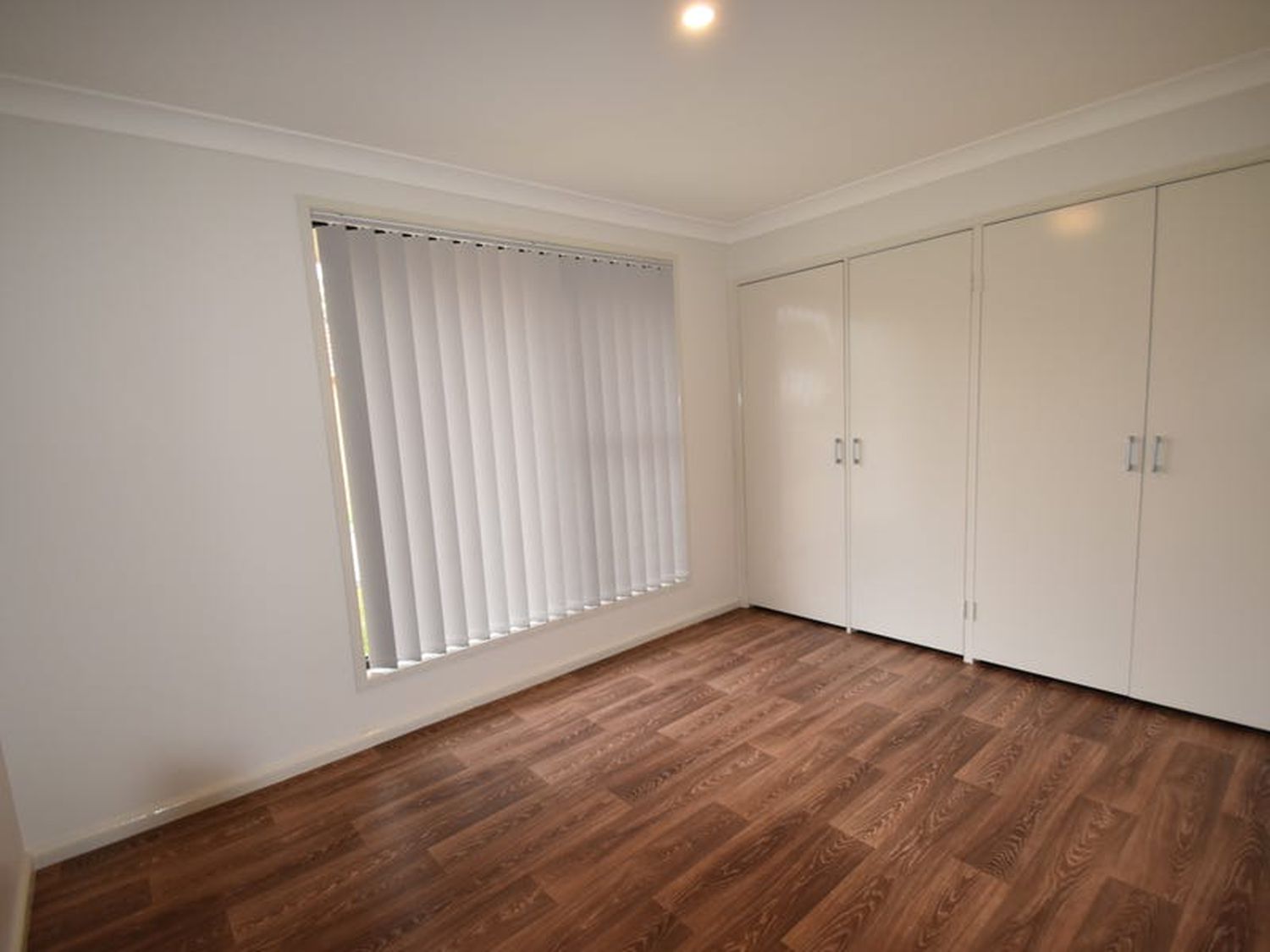 Mount Druitt