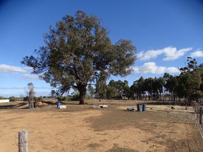 373 Grimwade Road, Wahring