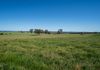 1097 Davys Plains Road, Cudal
