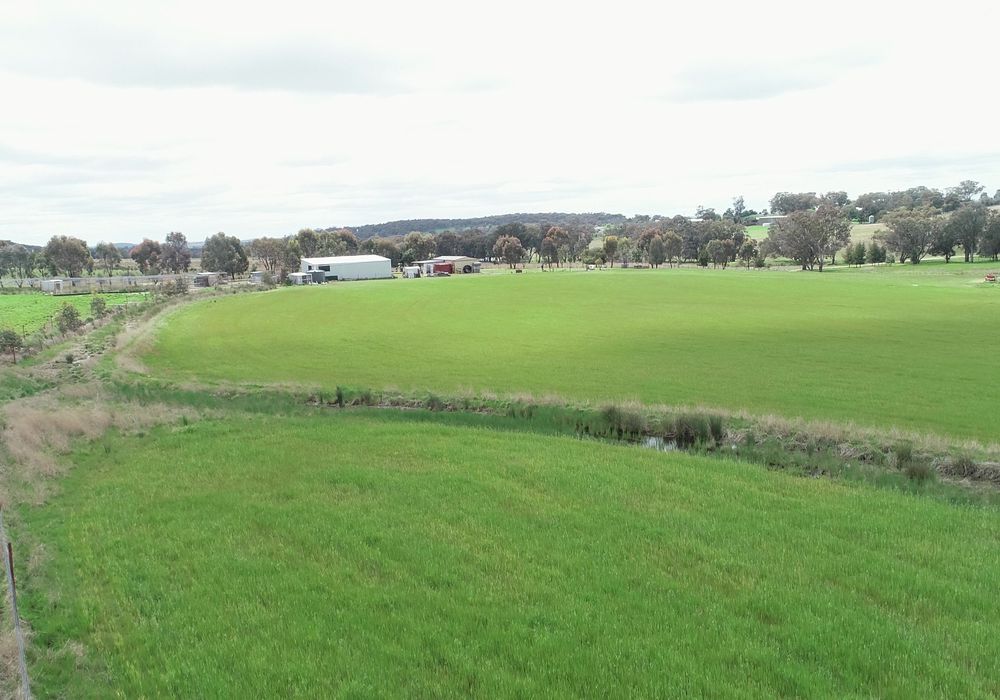 823 Peabody Road, Molong
