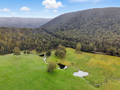 64 Mersey Forest Road, Liena