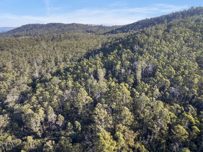 Lot 1, Pottery Road, Garden Island Creek