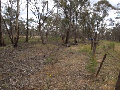 Lot 2, 2 Alice Street, Dunolly