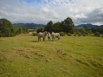 223 Walli Mountain Road, Kenilworth