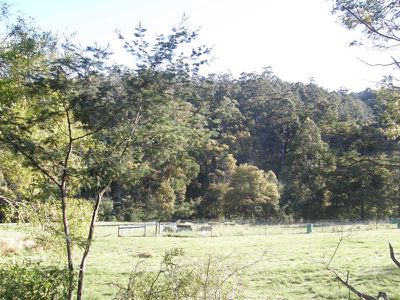 Petcheys Bay