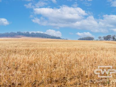 1036 Rob Roy Road, Inverell