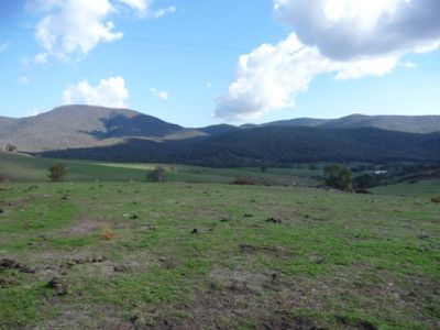 Webb Lane, Granya