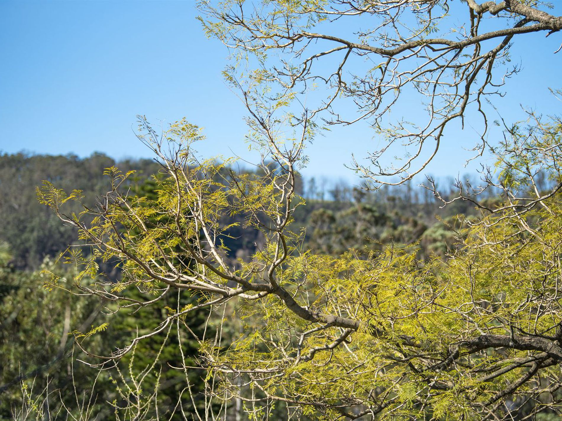 64 Wattle Street, Fishermans Paradise