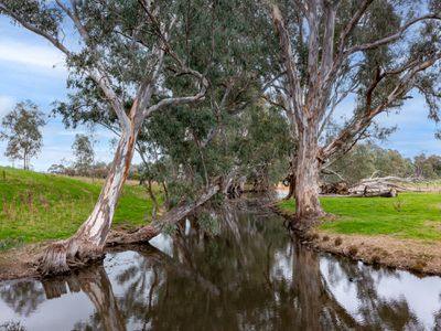 2271 Snow Road, Markwood