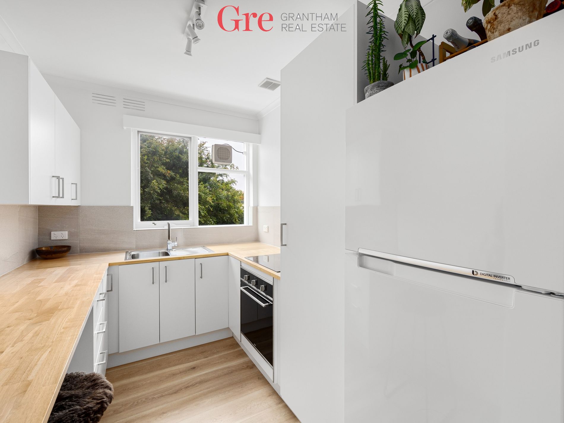 Ascot Vale Grantham Real Estate