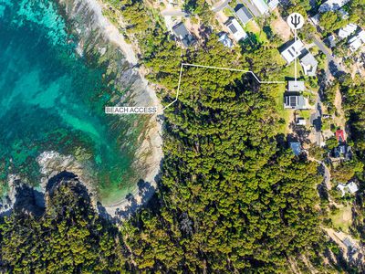 3 Dale Place, Rosedale