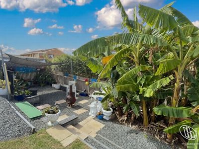 48 Sunset Boulevard, Kianga