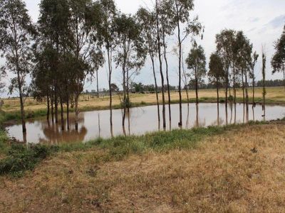 748 Hinkson Road, Myall